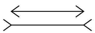 muller-lyer-sm